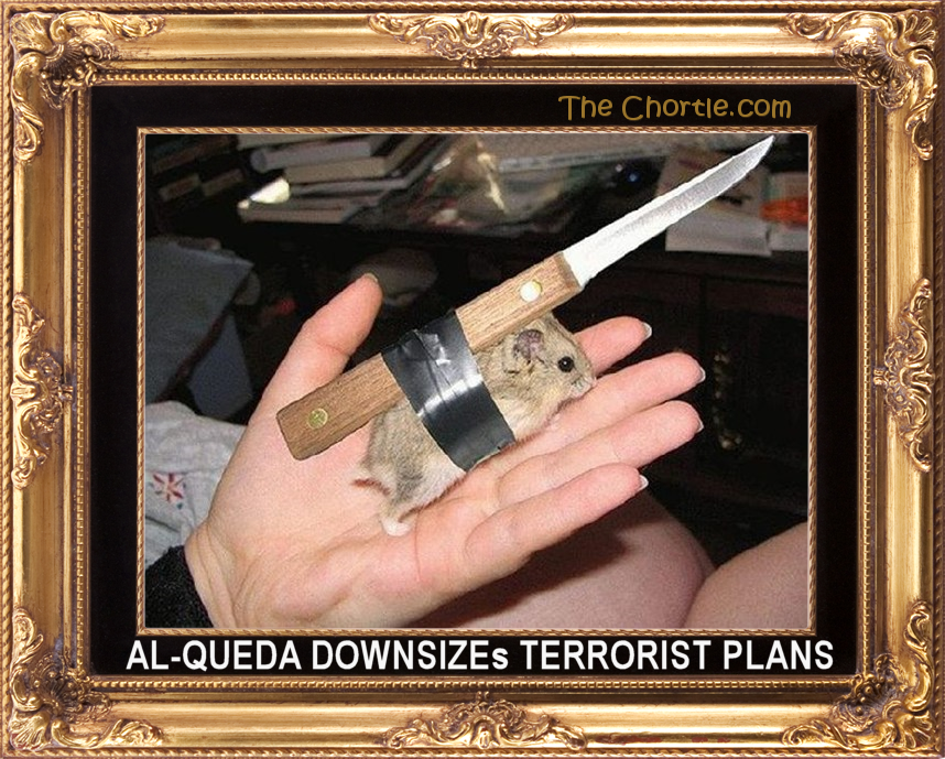 Al-Queda downsizes terrorist plans.