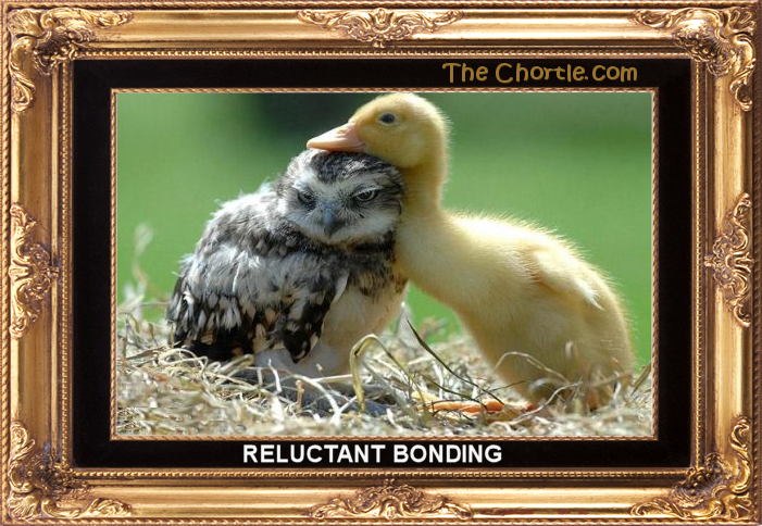 Reluctant bonding