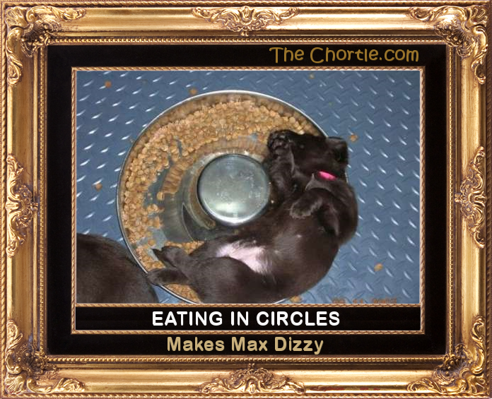 Eating in circles makes Max dizzy