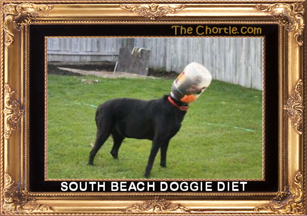 South Beach doggie diet.