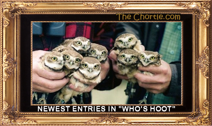 Newest entries in "Who's Hoot"