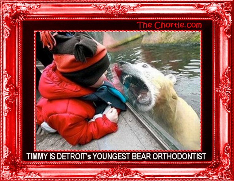 Timmy is Detroit's youngest bear orthodontist.