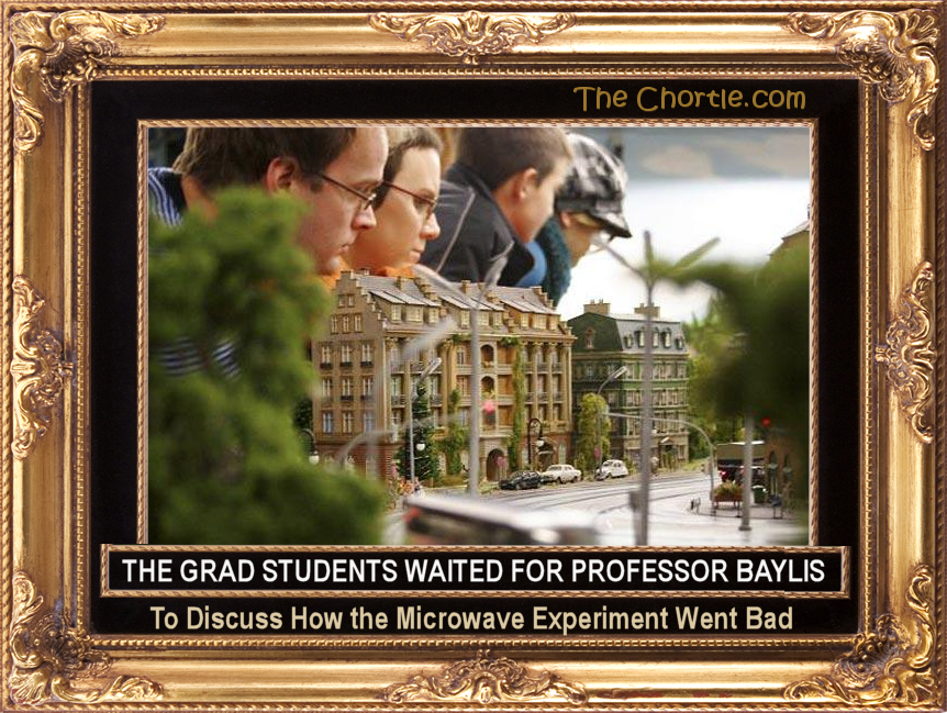 The grad students waited for Professor Baylis to discuss hos the microwave experiment went bad.
