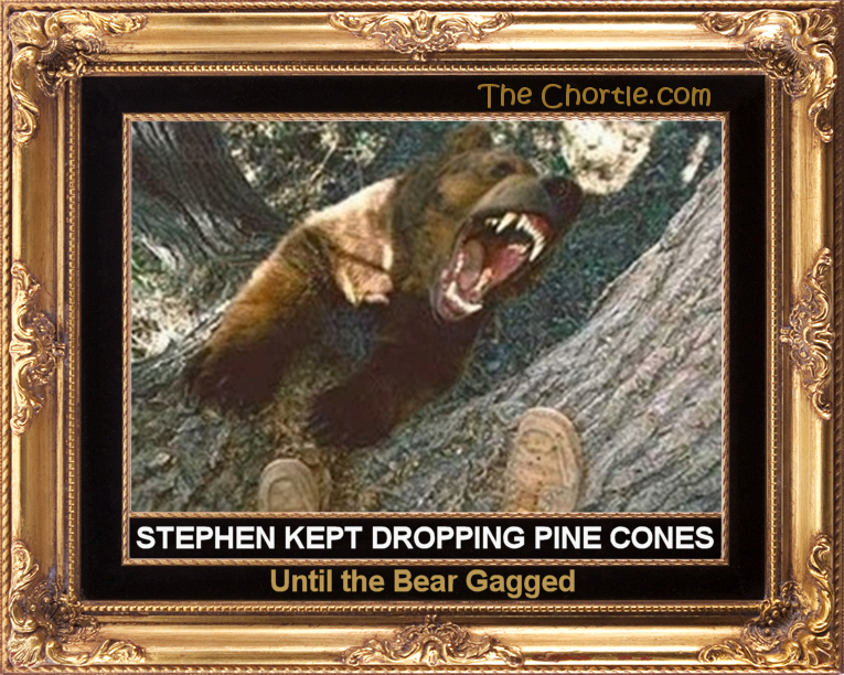 Stephen kept dropping pine cones until the bear gagged.