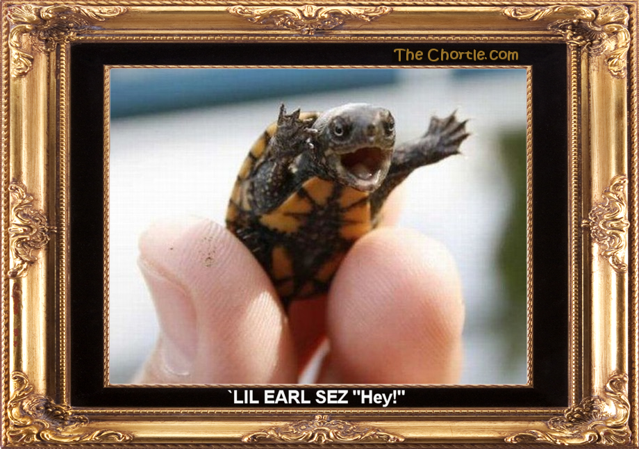 `Lil Earl sez "hey!"