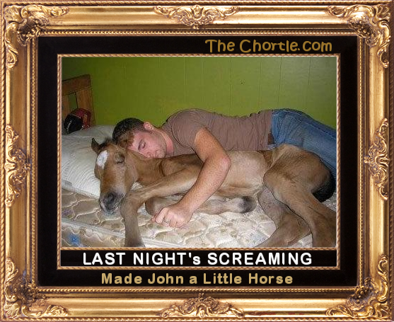 Last night's screaming made John a little horse.