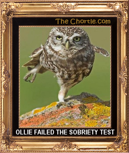 Ollie failed the sobriety test