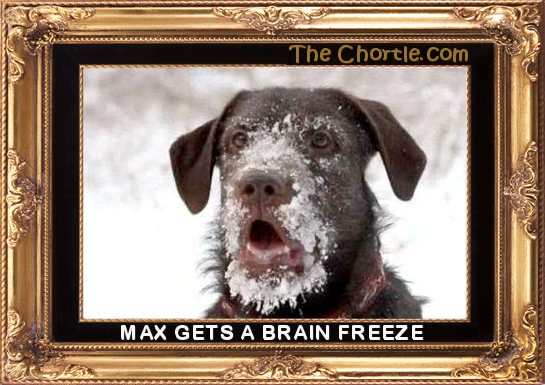 Max gets a brain freeze