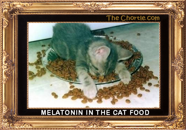 Melatonin in the cat food.