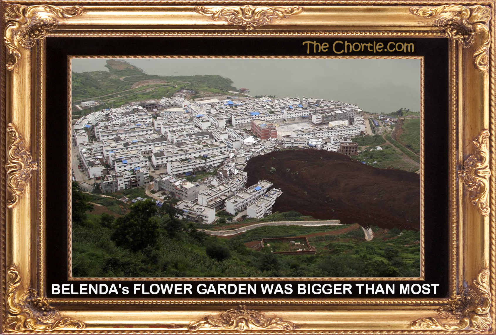 Belenda's flower garden was bigger than most.