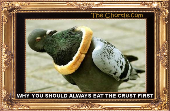 Why you should always eat the crust first.