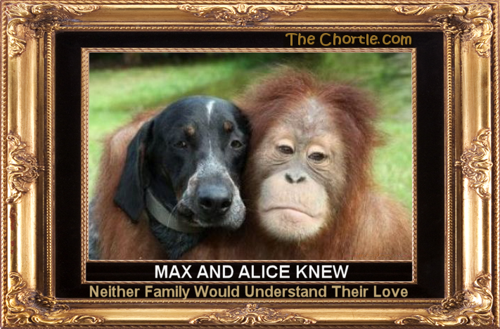 Max and Alice knew neither family would understand their love.