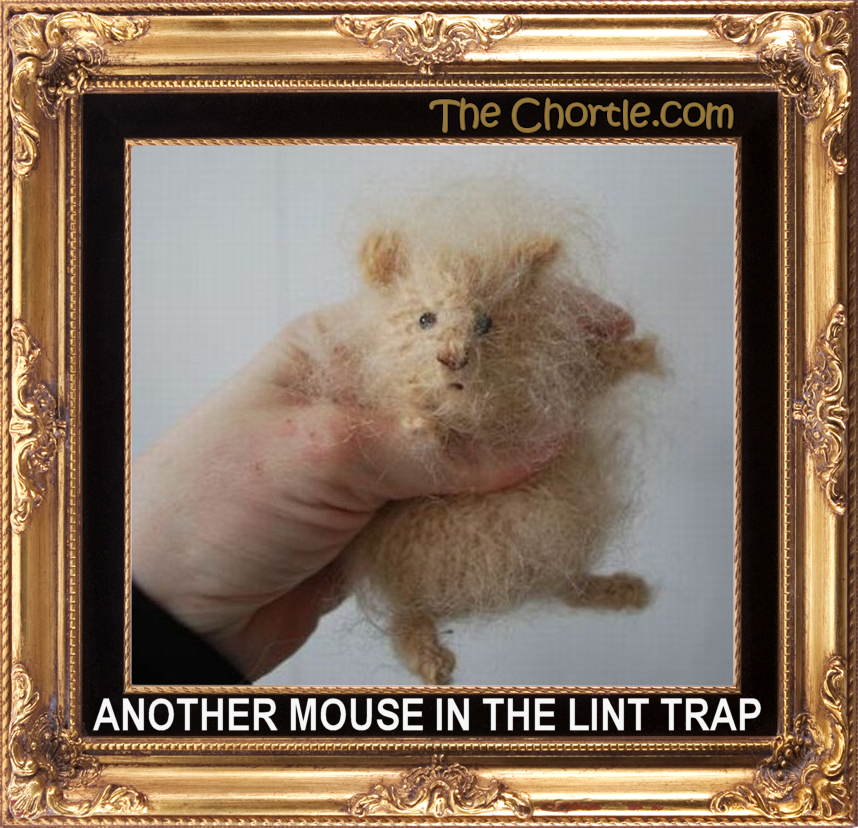 Another mouse in the lint trap.
