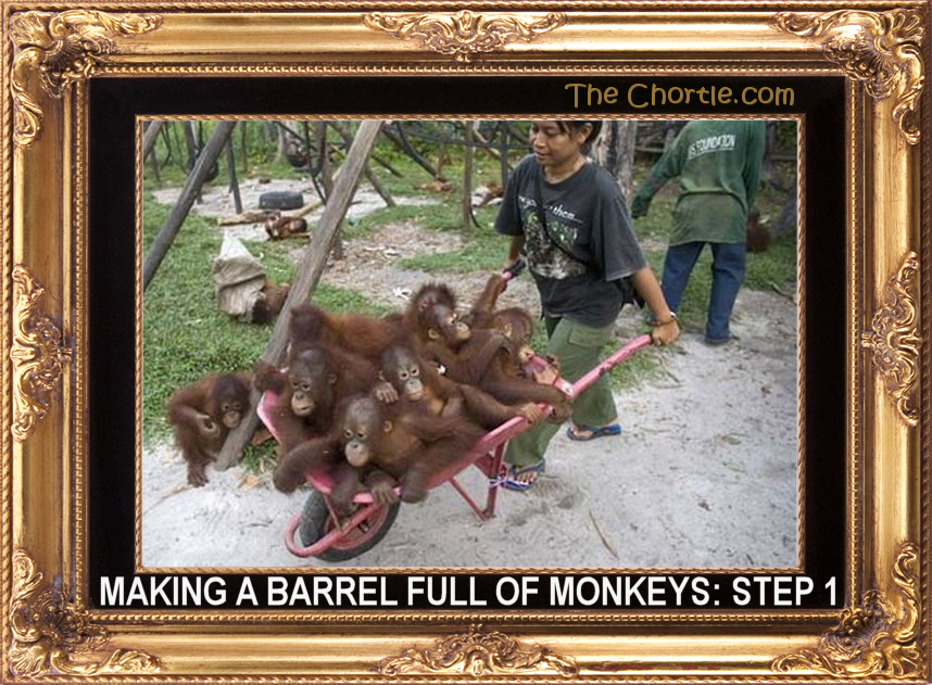 Making a barrel full of monkeys: Step 1.