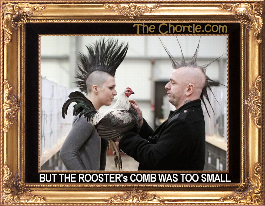 But the rooster's comb was too small.