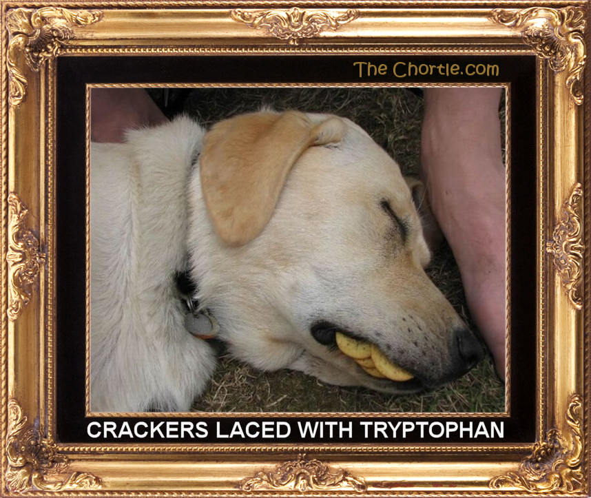 Crackers laced with tryptophan.