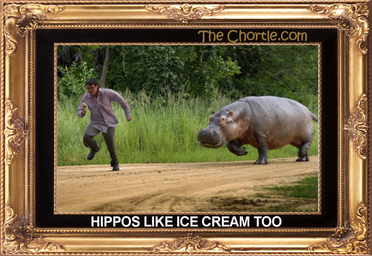 Hippos like ice cream too.