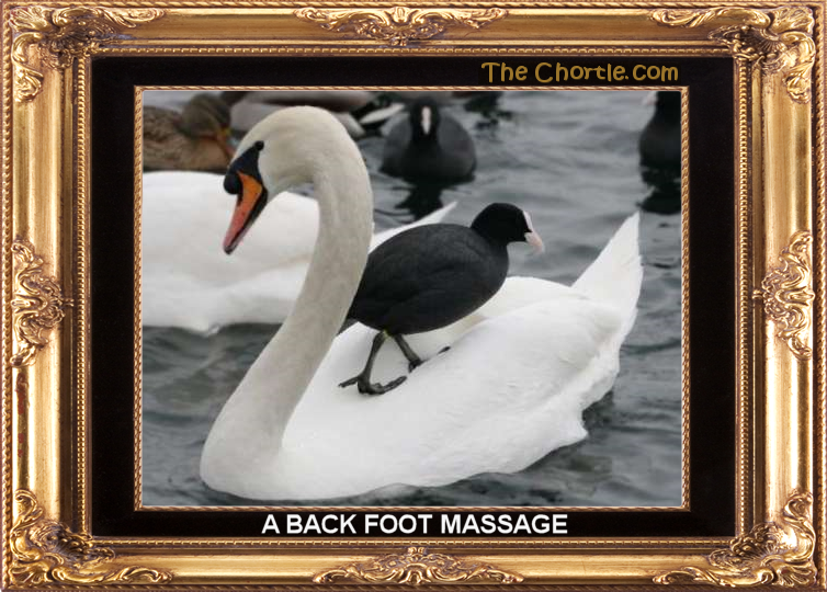 A back foot massage.