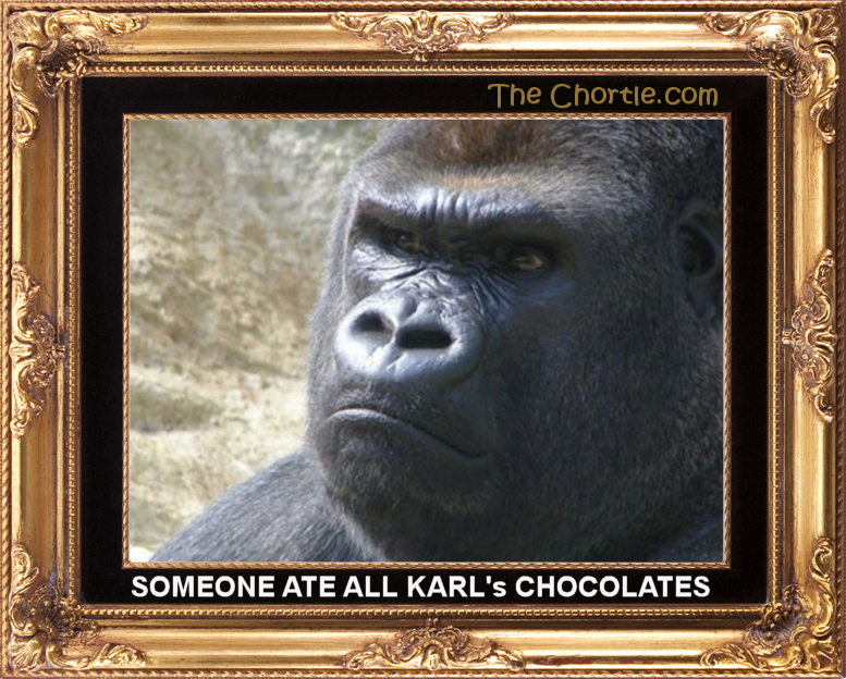 Someone ate all Karl's chocolates