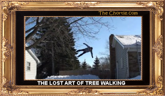 The lot art of tree walking