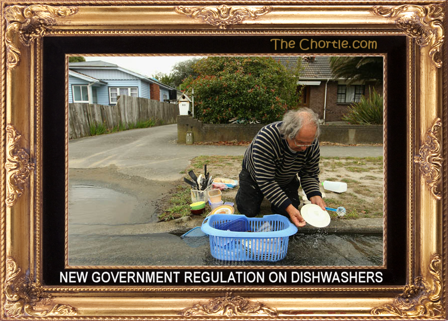 New government regulation on dishwashers