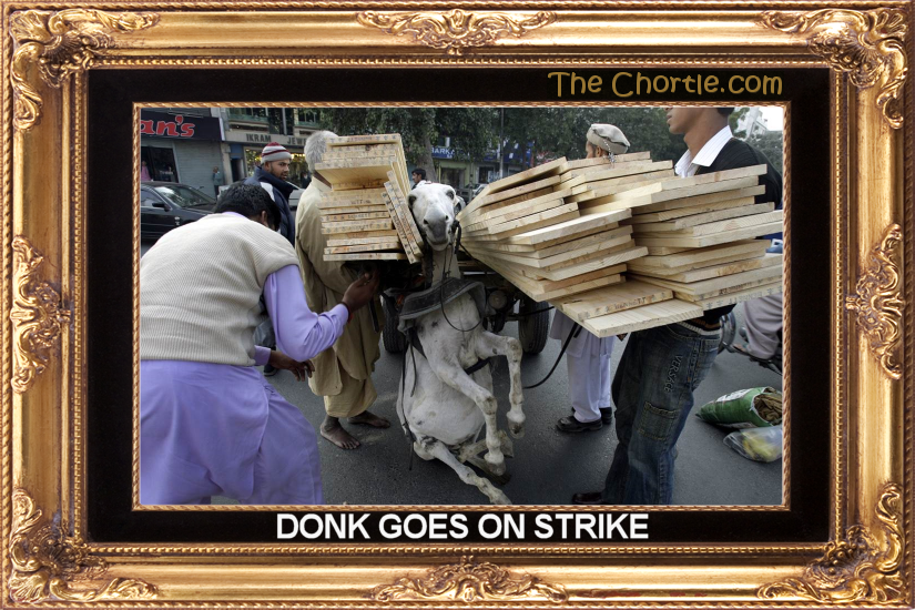Donk goes on strike