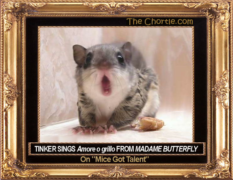 Tinker sings "Amore o glillo" from Madame Butterfly on "Mice Got Talent."