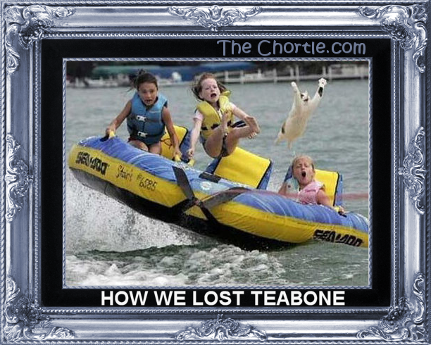 How we lost teabone