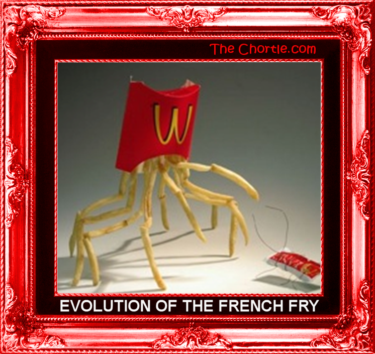 Evolution of the French fry