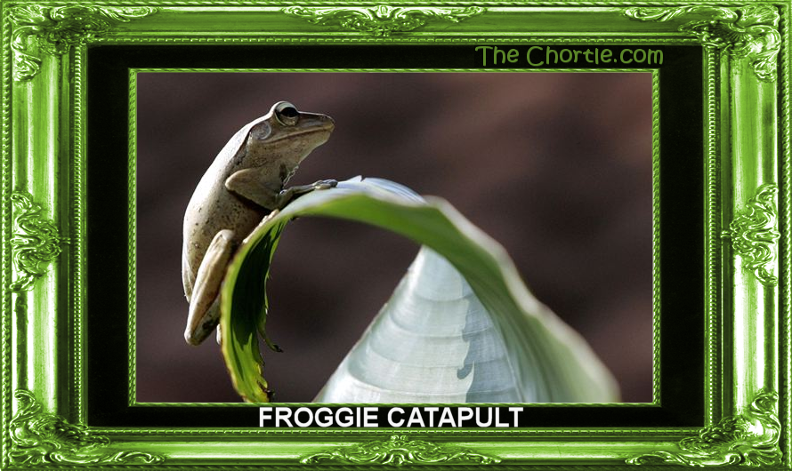 Froggie catapult