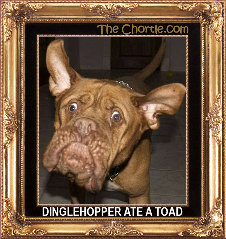 Dinglehopper ate a toad