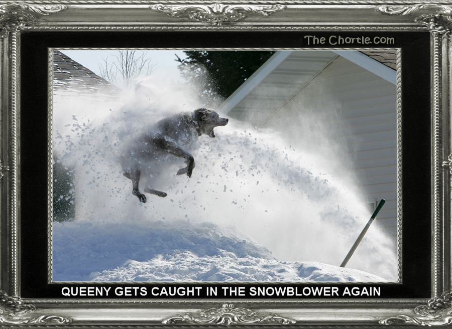 Queeny gets caught in the snowblower again