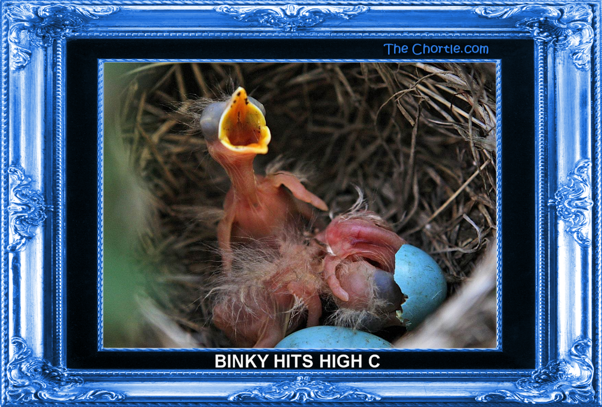 Binky hits high C