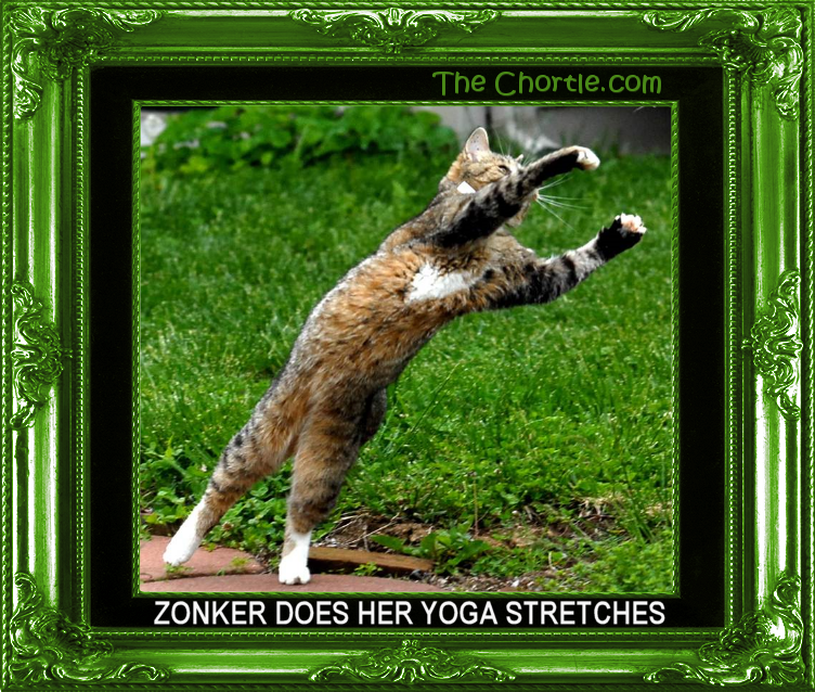 Zonker does her yoga stretches