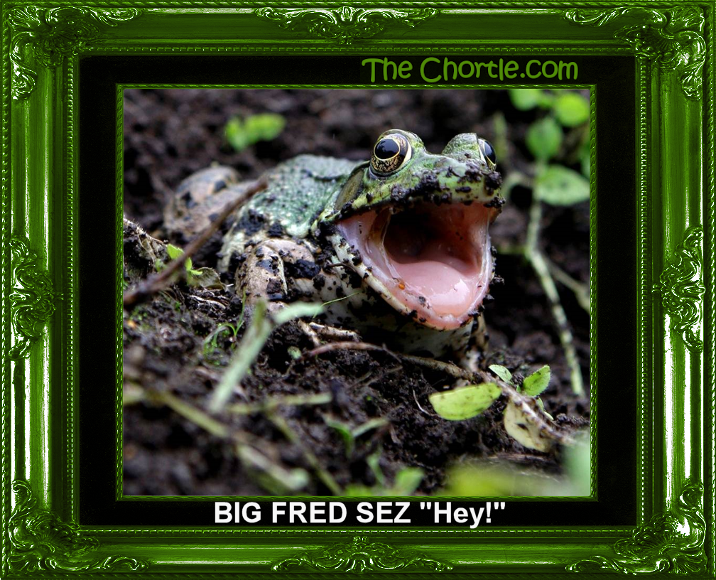 Big Fred sez "Hey!"