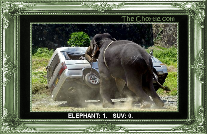 Elephant: 1.  SUV: 0.