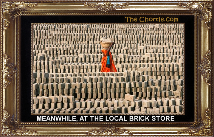 Meanwhile, at the local brick store