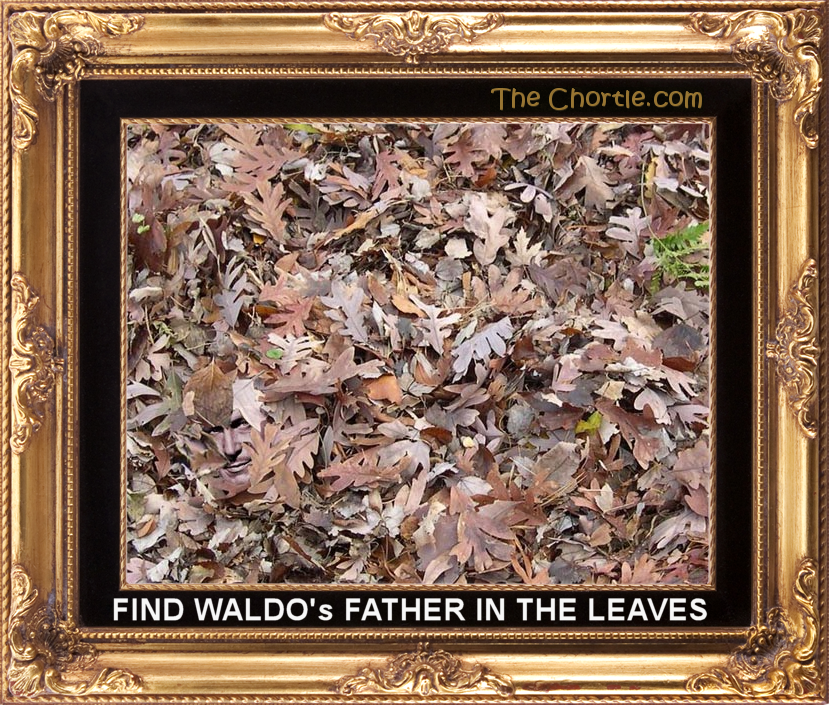 Find Waldo's father in the leaves