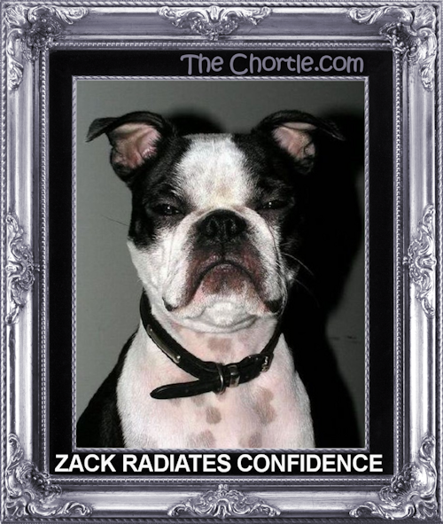 Zack radiates confidence