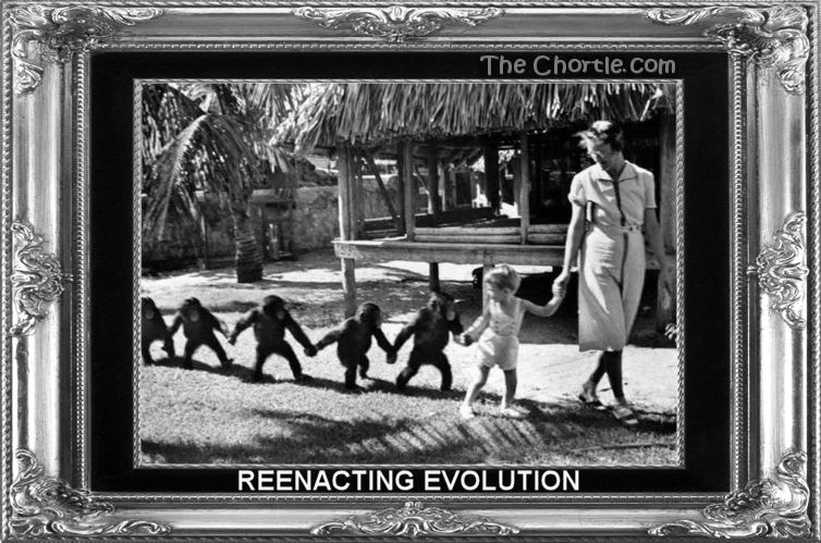 Reennacting evolution