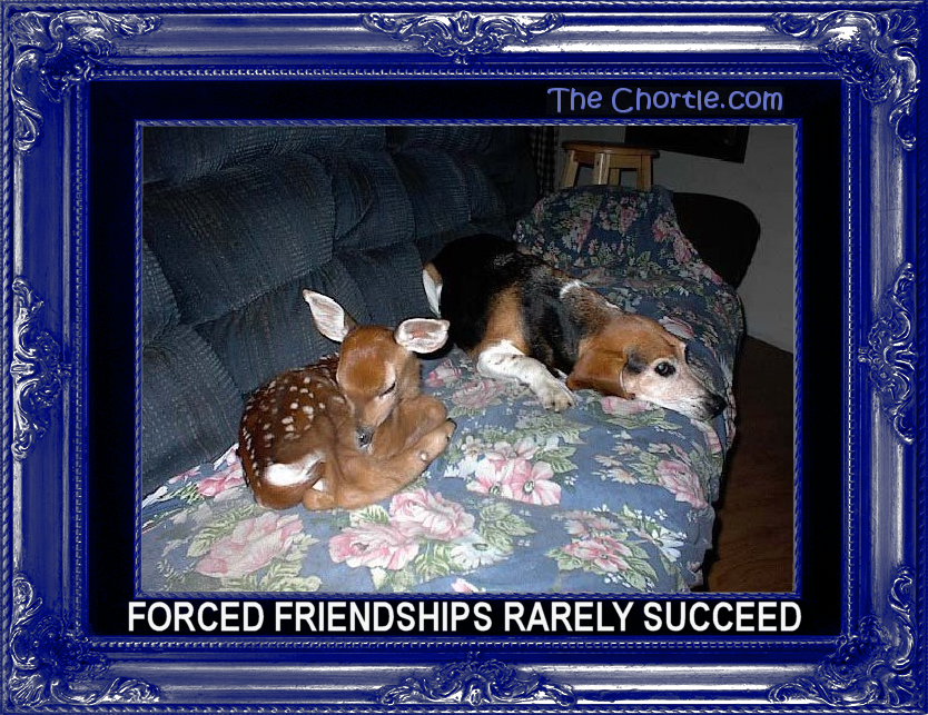 Forced friendships rarely succeed