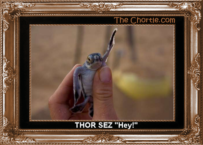 Thor sez "Hey!"