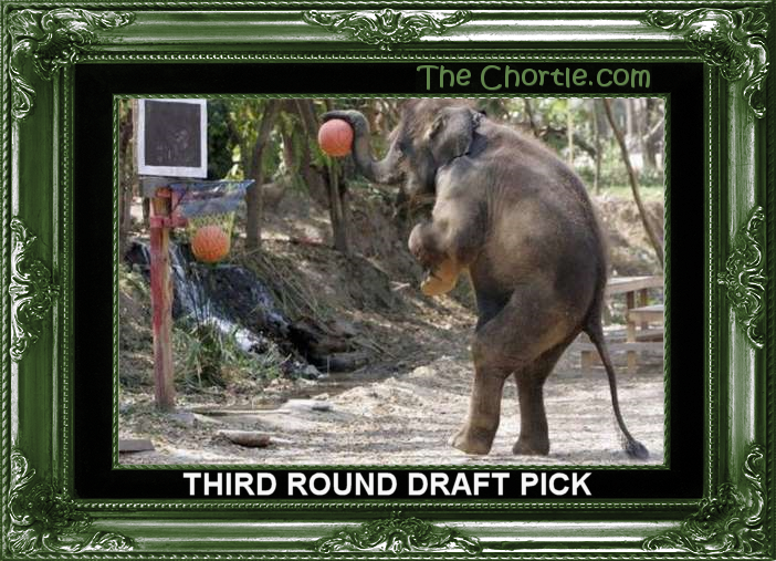Third round draft pick