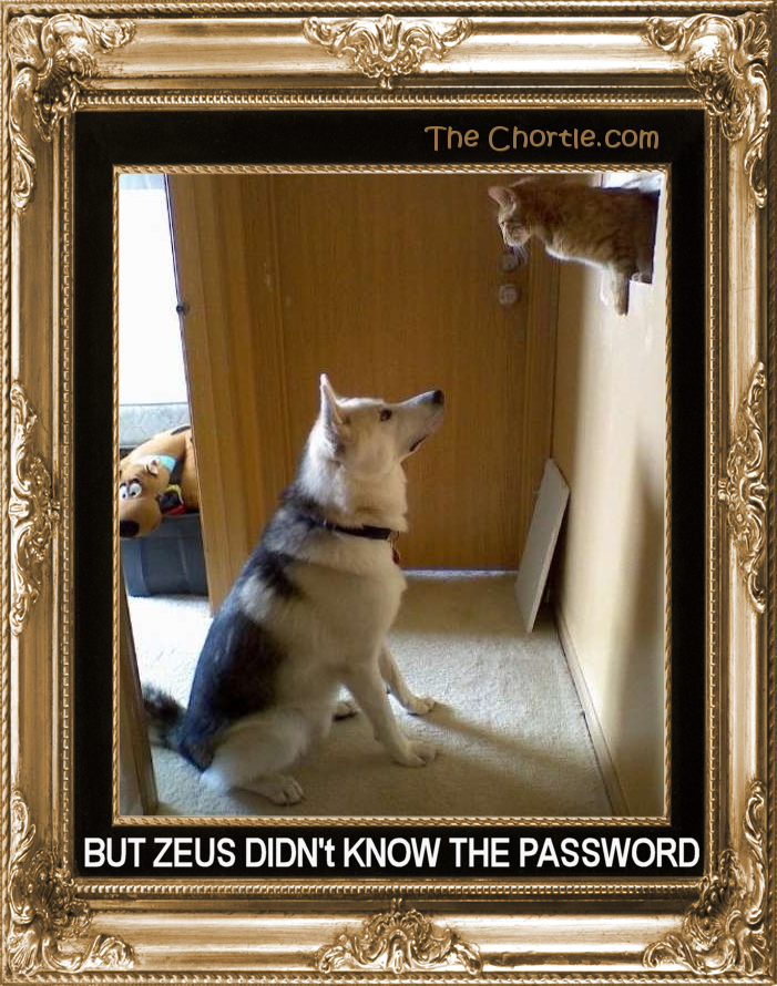 But Zeus didn't know the password