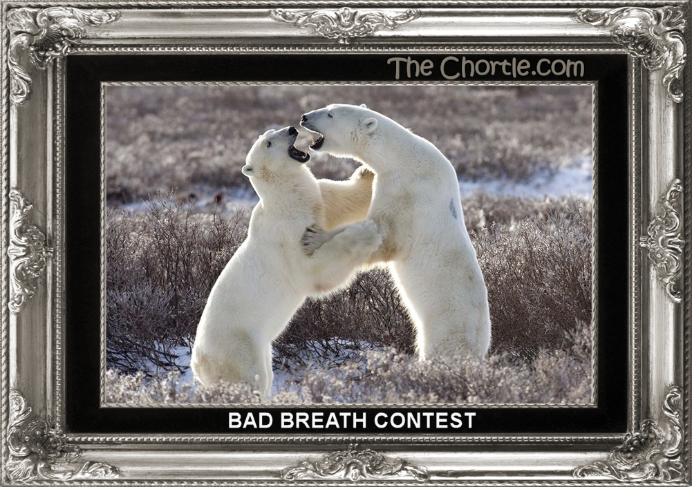 Bad breath contest
