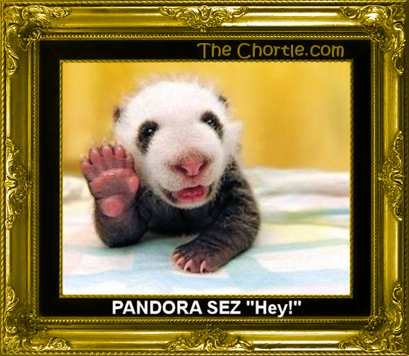 Pandora sez "Hey!"