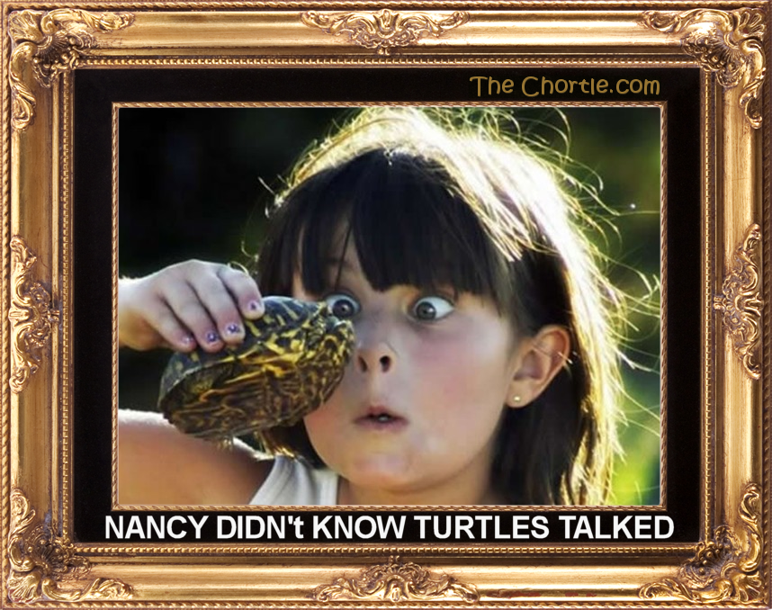 Nancy didn't know turtles talked