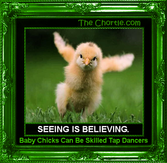 Seeing is believing.  Baby chicks can be skilled tap dancers.