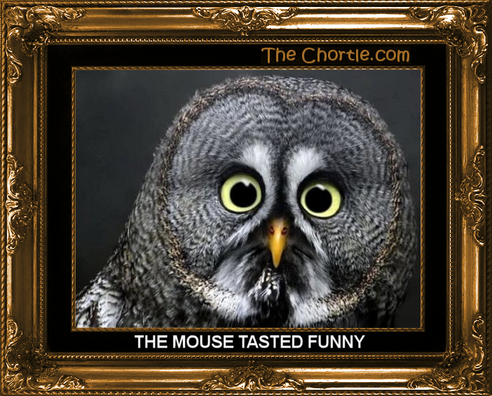The mouse tasted funny