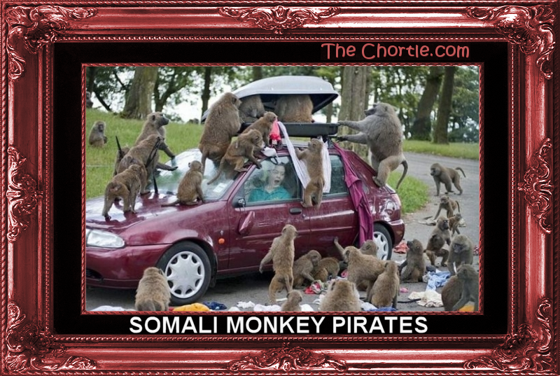 Somali monkey pirates